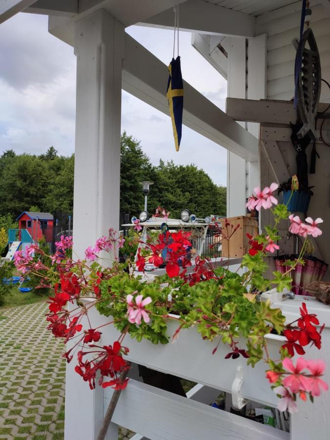 Domki U Pana Zielonki Rusinowo  Bagian luar foto