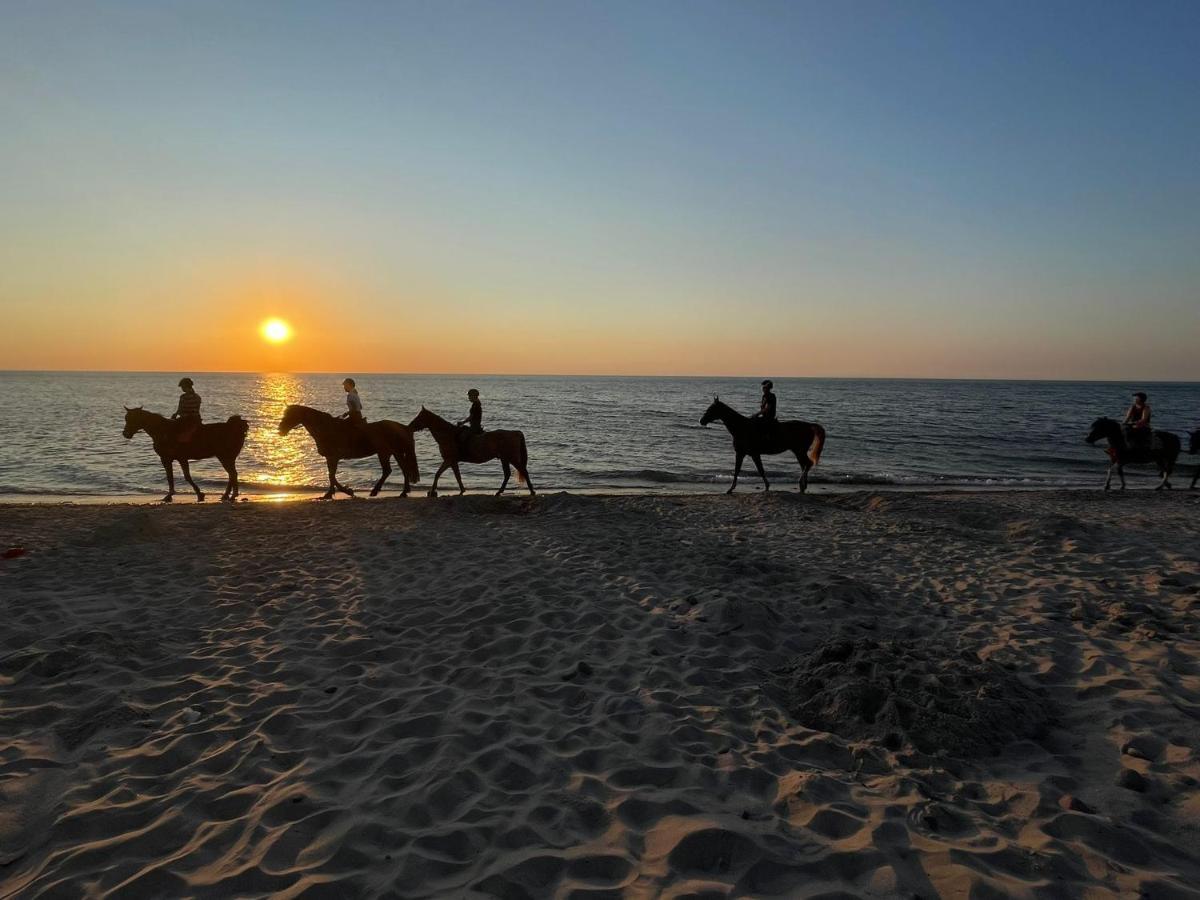 Domki U Pana Zielonki Rusinowo  Bagian luar foto
